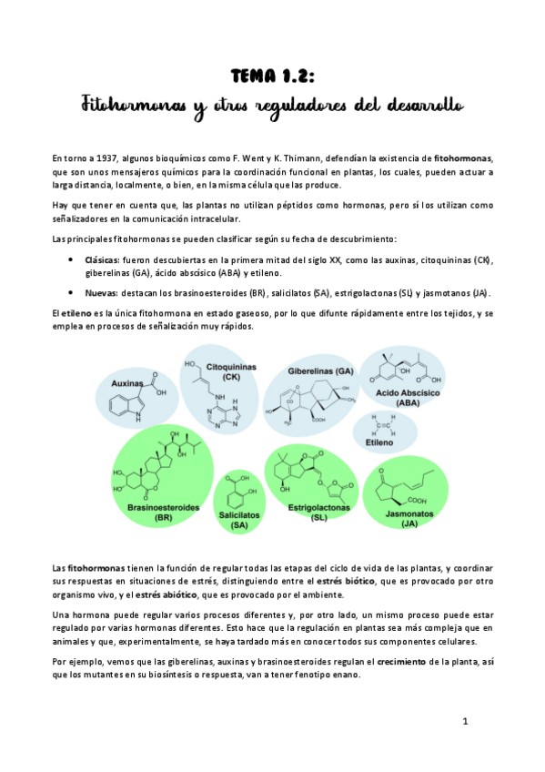 Miniatura del documento TEMA-1.pdf