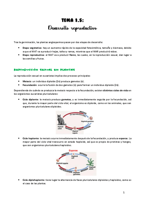 Miniatura del documento TEMA-1.pdf
