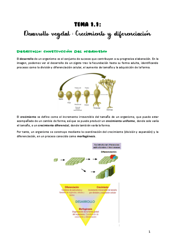 Miniatura del documento TEMA-1.pdf