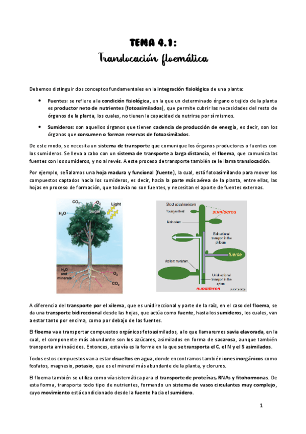 Miniatura del documento TEMA-4.pdf