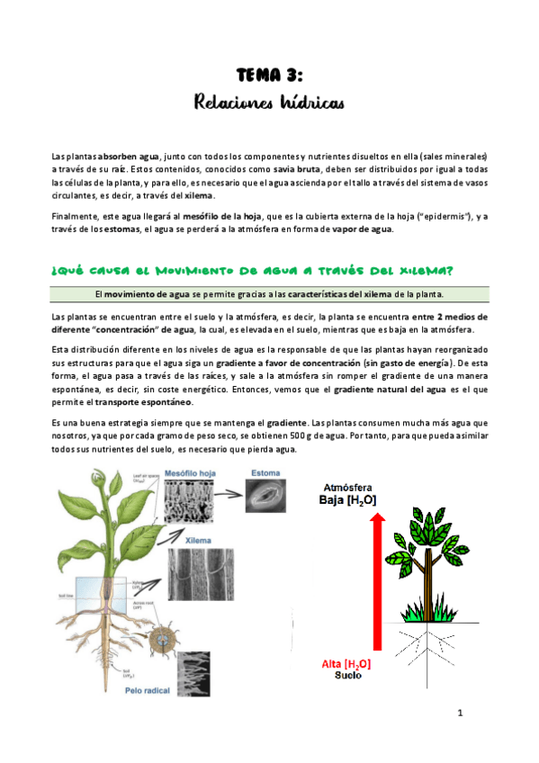 Miniatura del documento TEMA-3.pdf
