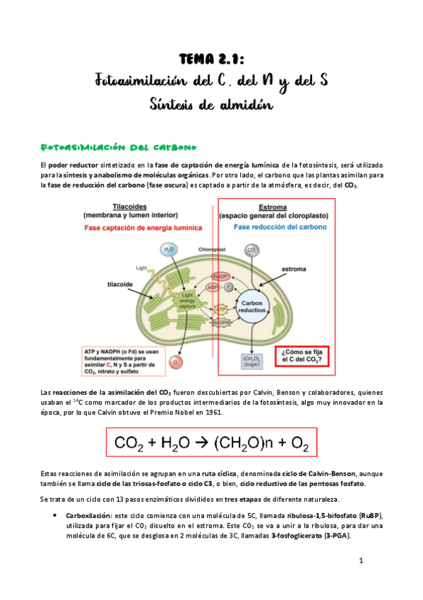 Miniatura del documento TEMA-2.pdf