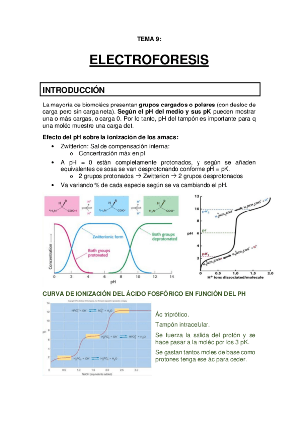 Miniatura del documento TEMA 9 - Electroforesis.pdf
