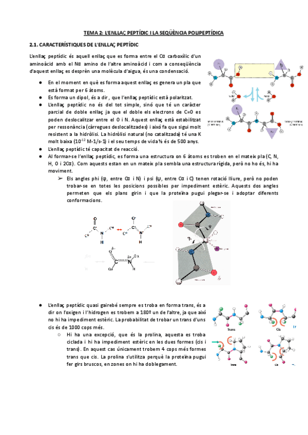 Miniatura del documento TEMA-2-LENLLAC-PEPTIDIC-I-LA-SEQUENCIA-POLIPEPTIDICA.pdf