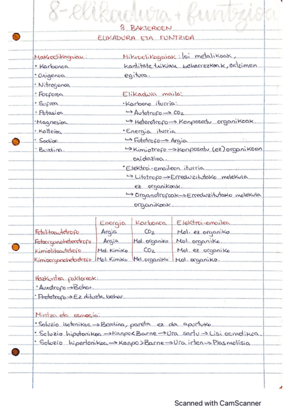 Miniatura del documento laburpenak.pdf
