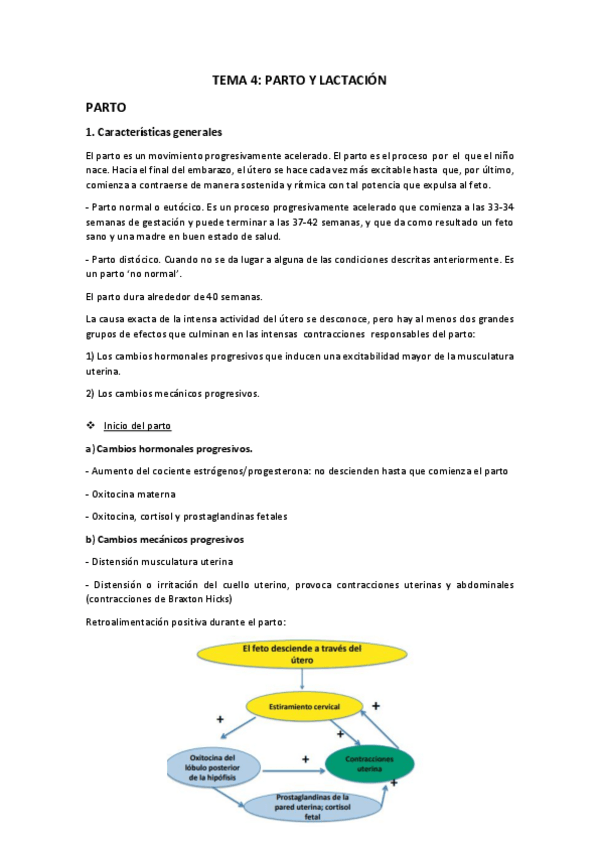 Miniatura del documento TEMA-4.pdf
