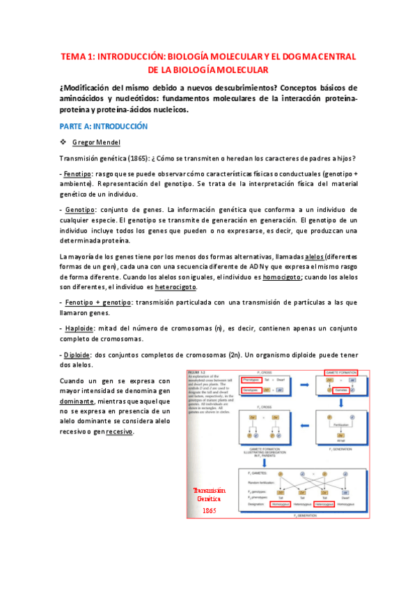 Miniatura del documento TEMA-1.pdf