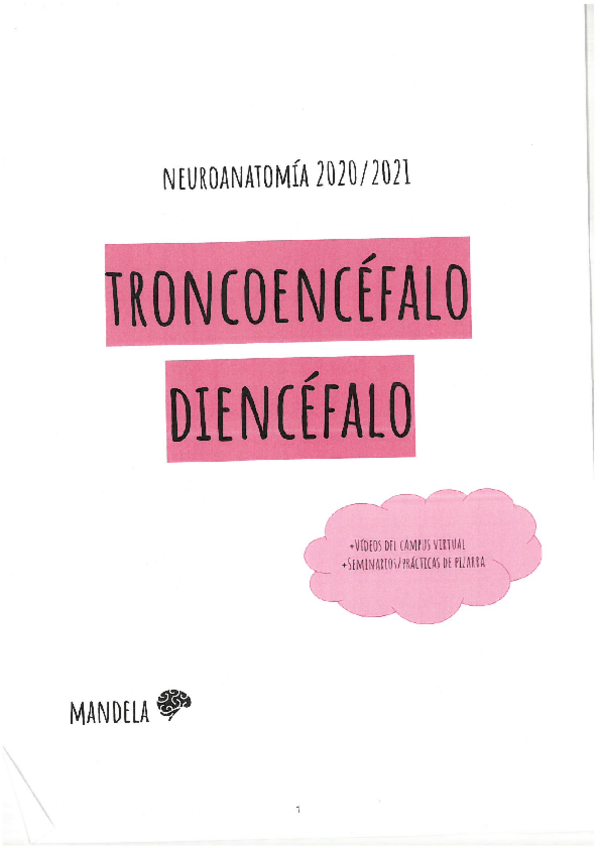 Miniatura del documento TRONCOENCEFALO-DIENCEFALO.pdf
