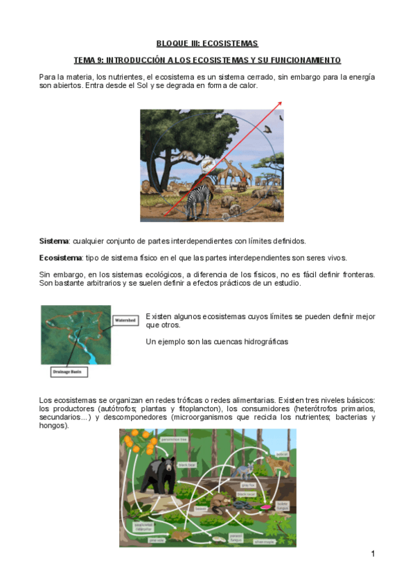 Miniatura del documento Eco-parte-2.pdf
