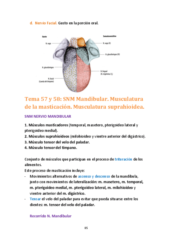 Miniatura del documento tema 57 a 68.pdf