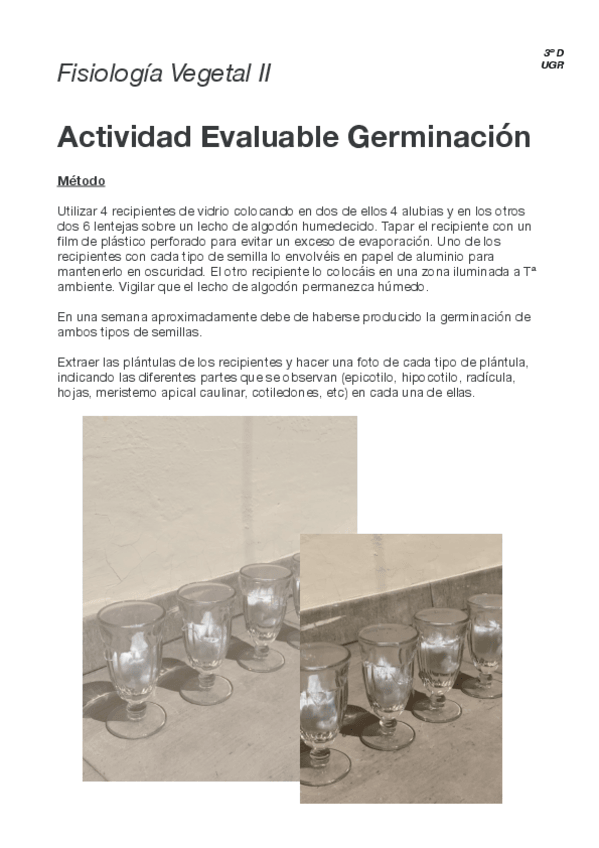 Miniatura del documento FVII-Germinacion.pdf