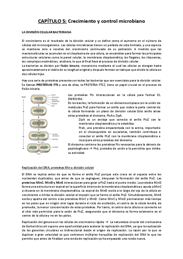 Miniatura del documento capitulo-5-Crecimiento-y-control-microbiano.pdf