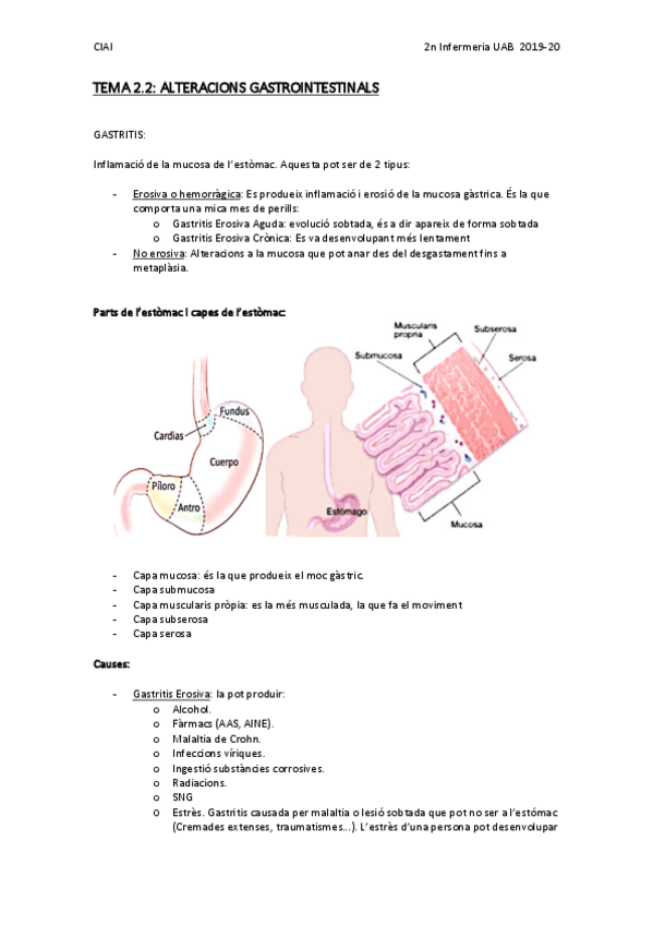 Miniatura del documento TEMA-2.pdf