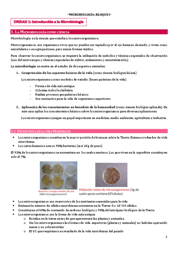 Miniatura del documento Bloque-I.pdf