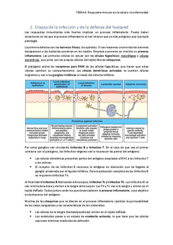Miniatura del documento TEMA-4.pdf
