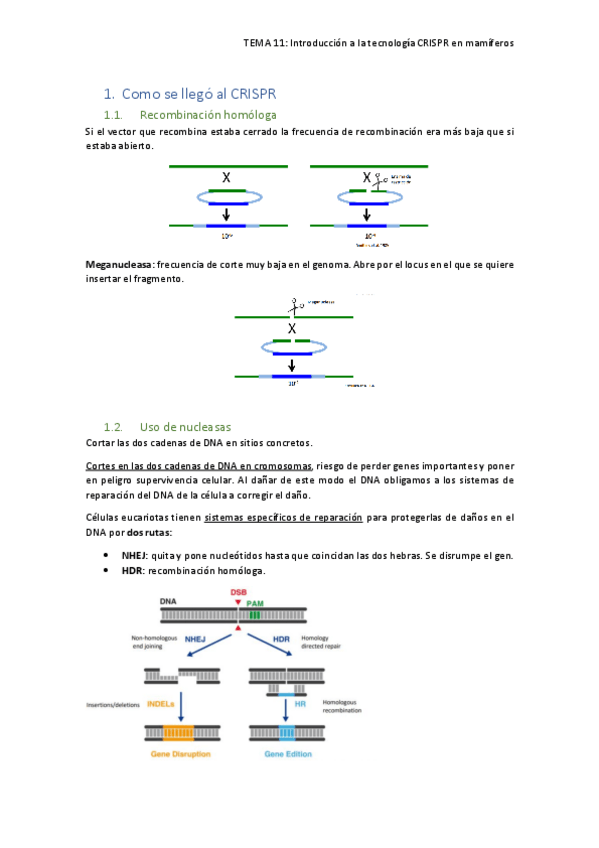 Miniatura del documento TEMA-11.pdf