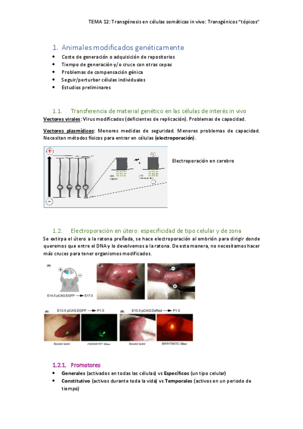 Miniatura del documento TEMA-12.pdf