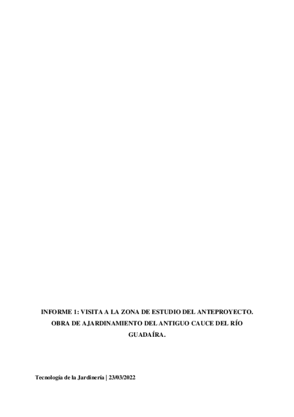 Miniatura del documento INFORME-1.pdf