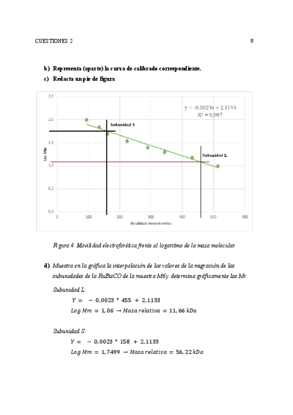 Miniatura del documento Cuestiones-2-PIM-1-3.pdf
