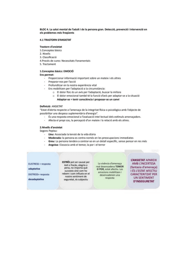 Miniatura del documento MENTAL-TRASTORN-ANSIETAT.pdf