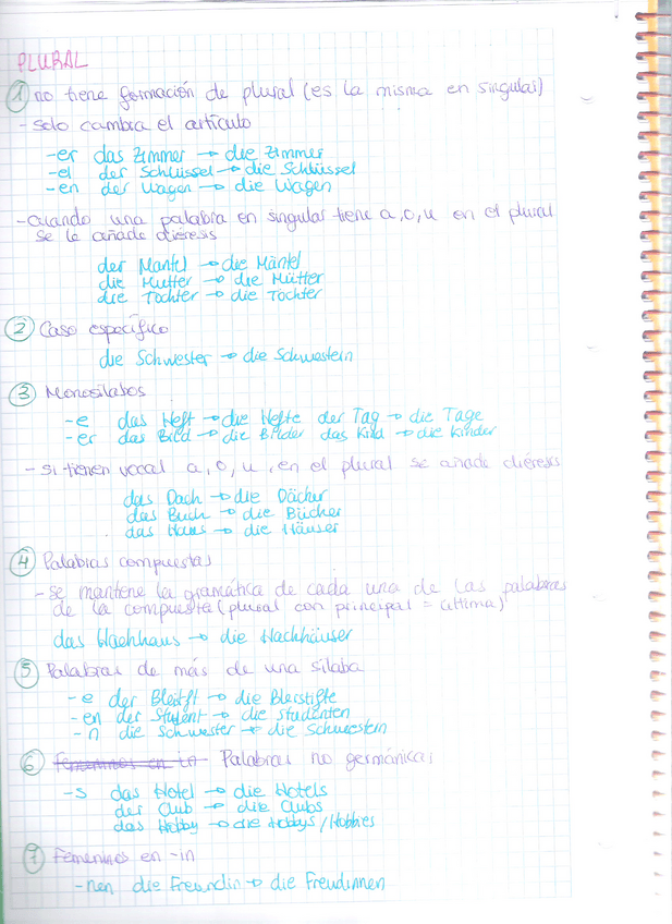 Miniatura del documento Plural.pdf