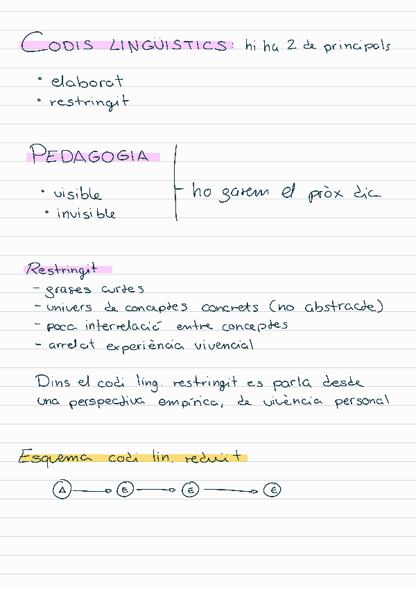 Miniatura del documento Codis-linguistics.pdf
