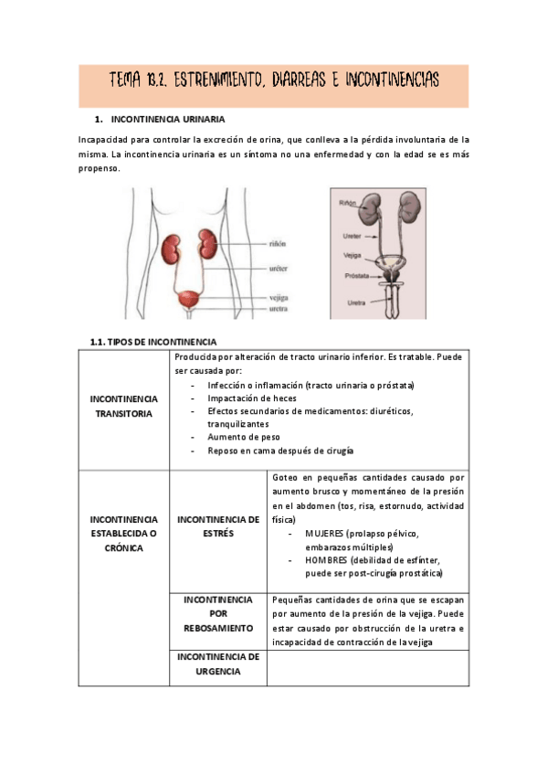 Miniatura del documento TEMA-13.pdf