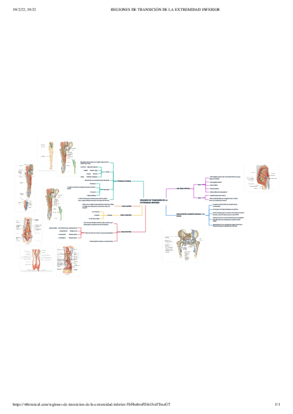 Miniatura del documento REGIONES-DE-TRANSICION-DE-LA-EXTREMIDAD-INFERIOR.pdf