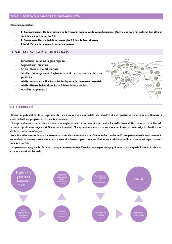 Miniatura del documento TEMA-1.pdf