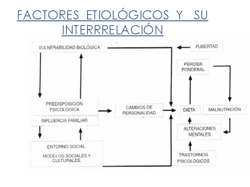 Miniatura del documento dieto-DIAGNOSTICO-AN-BN.pdf