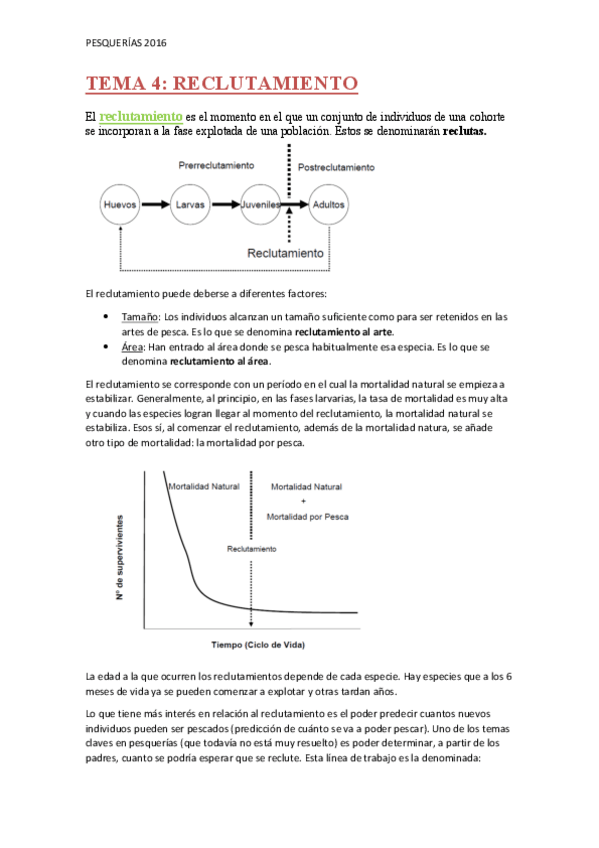 Miniatura del documento TEMA-4.pdf
