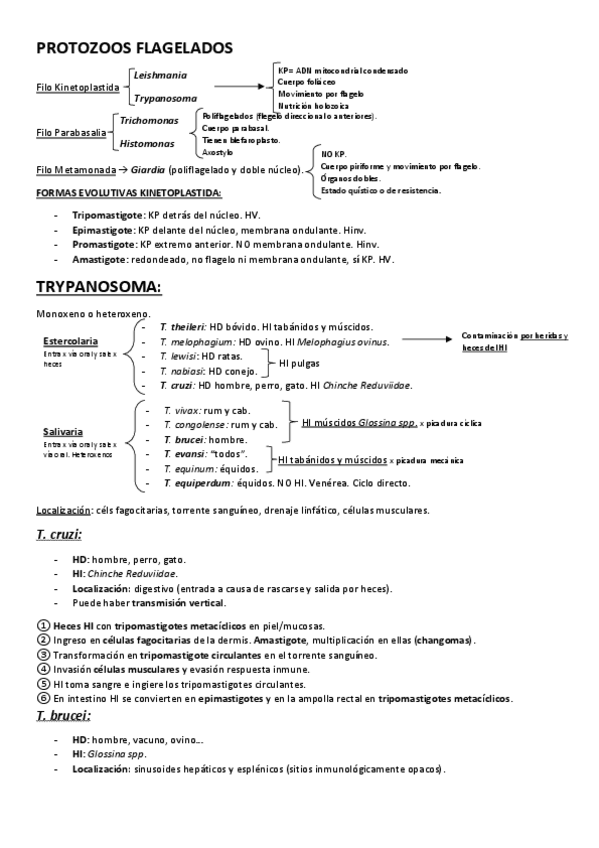 Miniatura del documento Protozoos-flagelados.pdf