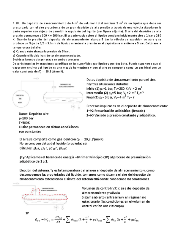 Miniatura del documento resolucion-P28.pdf