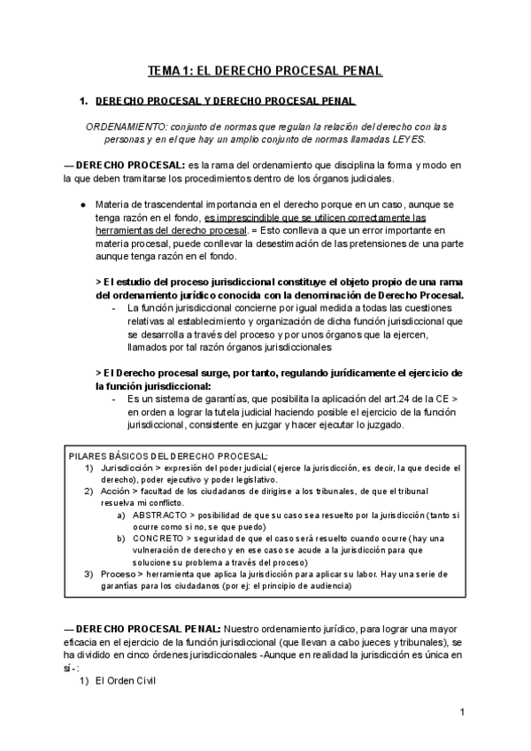 Miniatura del documento TEMA-1-el-derecho-procesal-penal.pdf