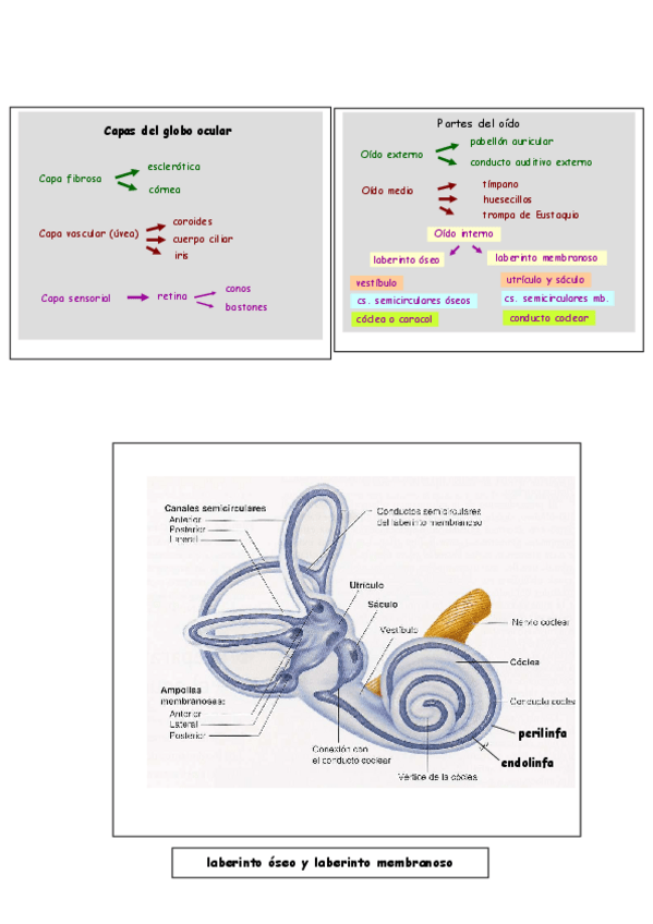 Miniatura del documento fichadeayudaojooido.pdf