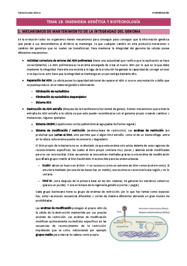 Miniatura del documento Tema-18.pdf