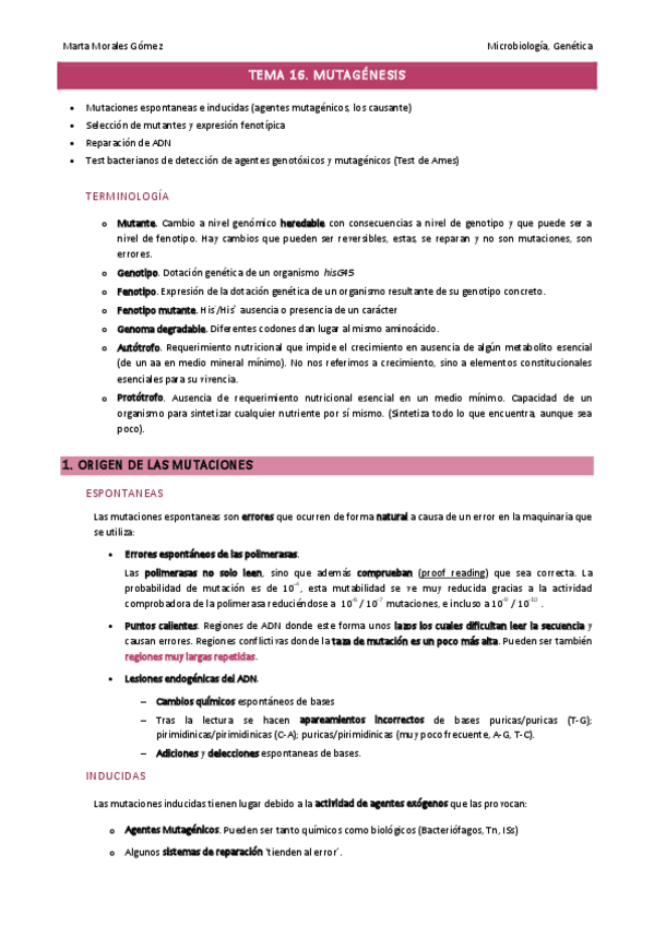 Miniatura del documento Tema-16.pdf
