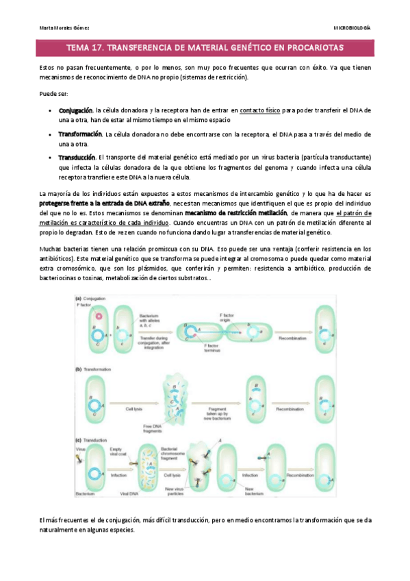 Miniatura del documento Tema-17.pdf