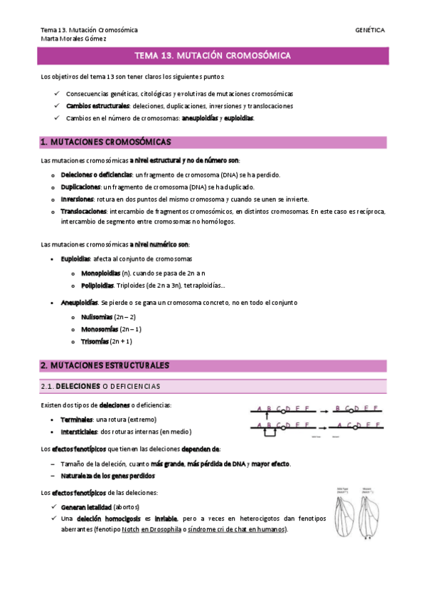 Miniatura del documento Tema-13.pdf