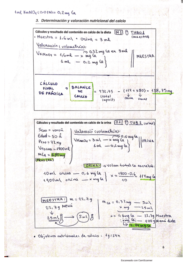 Miniatura del documento Calculos-Practicas.pdf