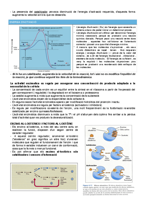Miniatura del documento introduccic3b3n-al-metabolismo-3-4.pdf