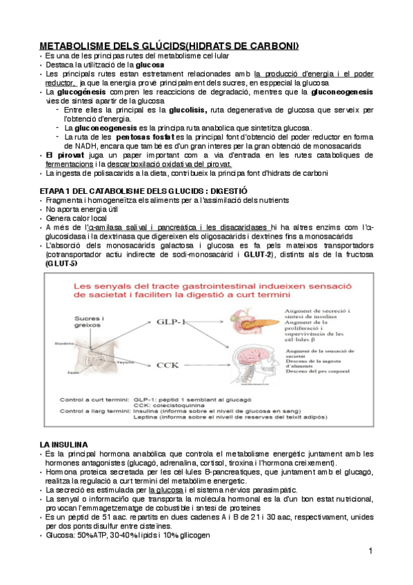 Miniatura del documento metabolismo-de-los-glucidos-1-3.pdf