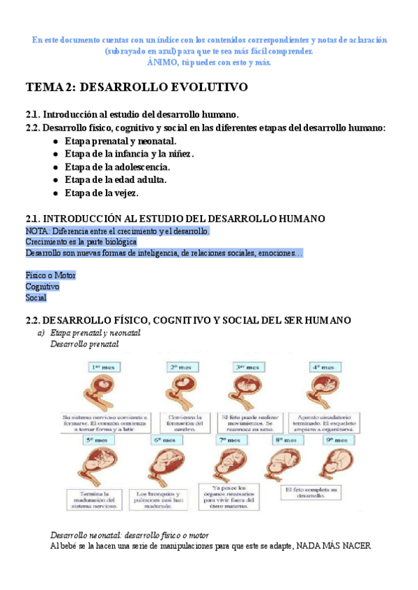 Miniatura del documento TEMA2DESARROLLOEVOLUTIVO.pdf