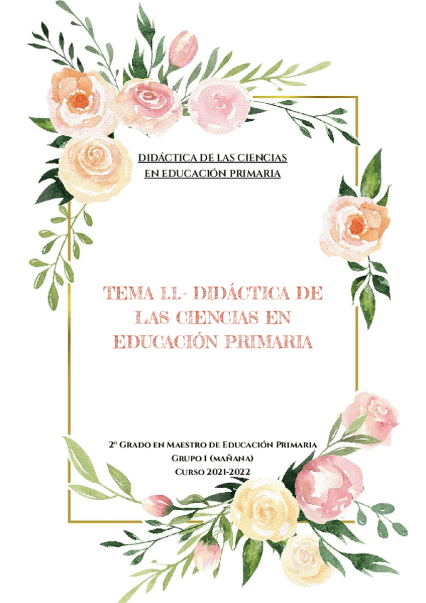 Miniatura del documento DIDACTICA-DE-LAS-CIENCIAS-TEMA-1.pdf