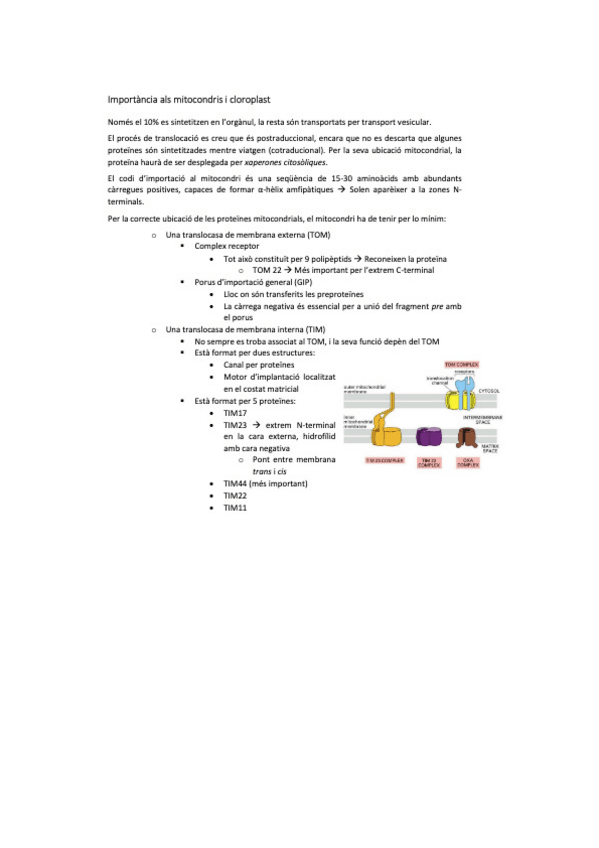 Miniatura del documento biocel-9.pdf