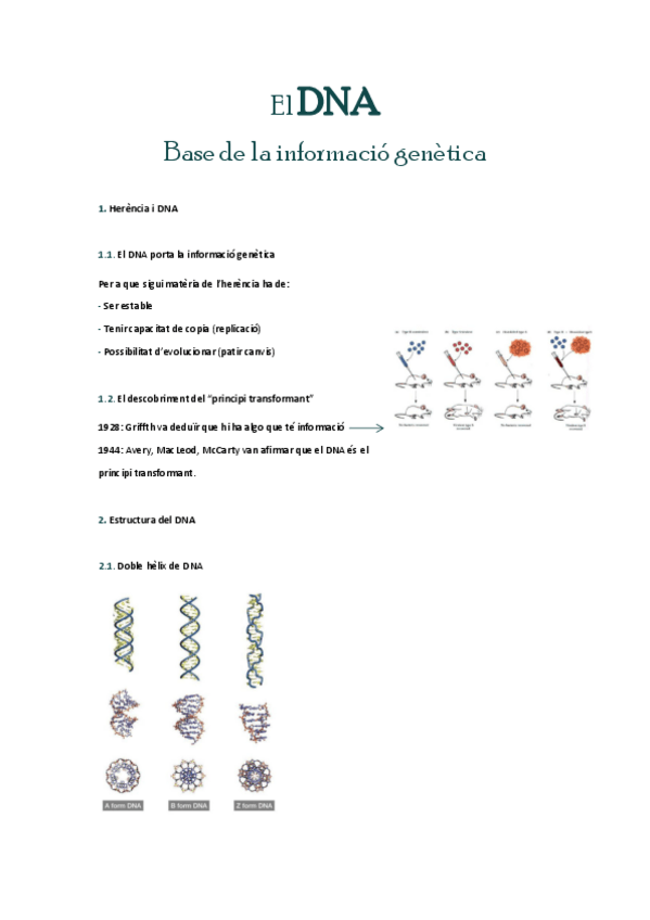 Miniatura del documento DNABase-de-la-informacio-genetica.pdf