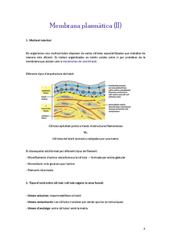 Miniatura del documento Membrana-plasmatica-II.pdf