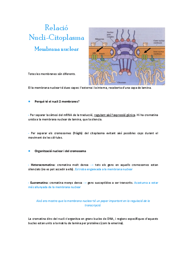 Miniatura del documento Matriu-extracellular.pdf
