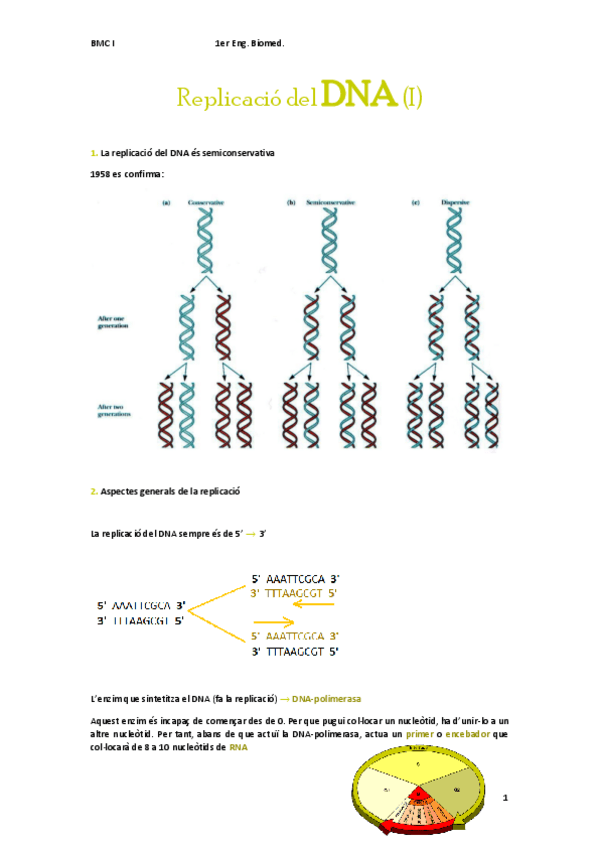Miniatura del documento Replicacio-del-DNA-I.pdf
