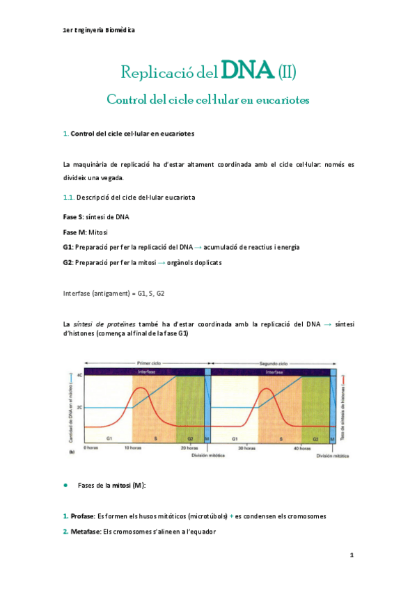 Miniatura del documento Replicacio-del-DNA-II.pdf